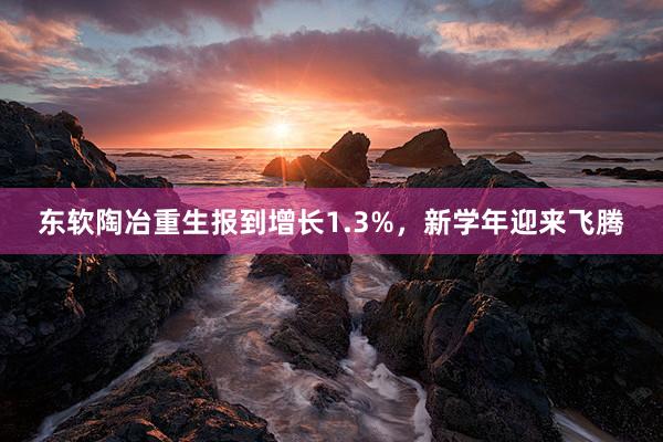 东软陶冶重生报到增长1.3%，新学年迎来飞腾