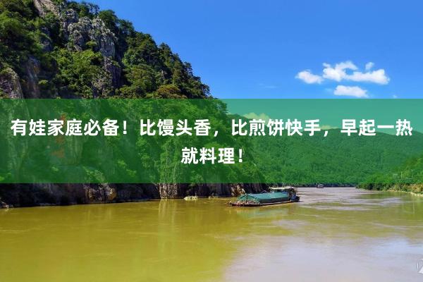 有娃家庭必备！比馒头香，比煎饼快手，早起一热就料理！