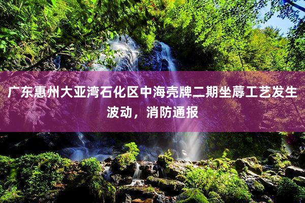 广东惠州大亚湾石化区中海壳牌二期坐蓐工艺发生波动，消防通报