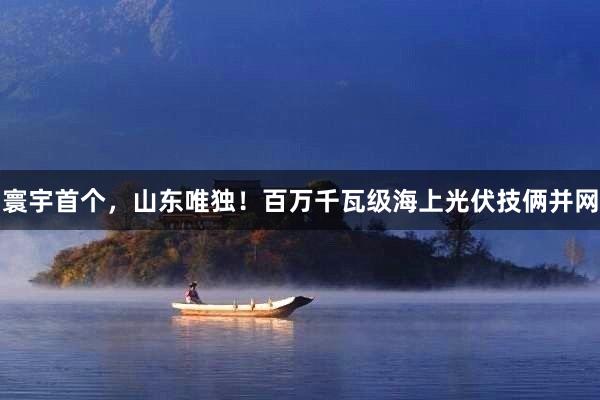 寰宇首个，山东唯独！百万千瓦级海上光伏技俩并网